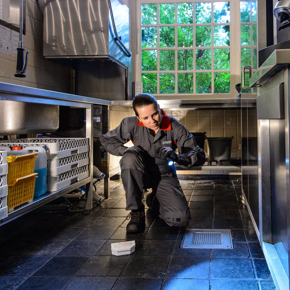 SQ_pest control inspection