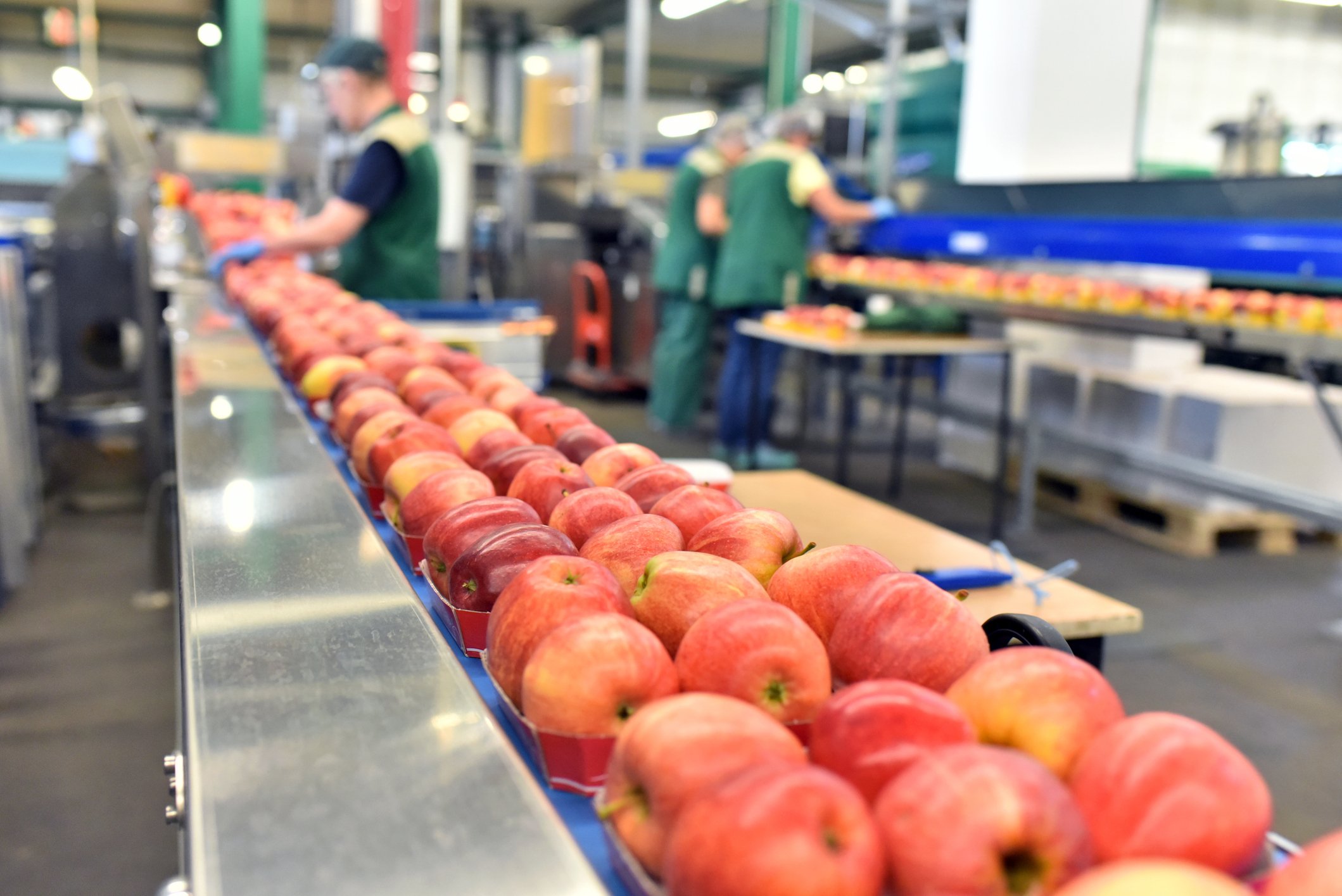 Food production lines-1165785331