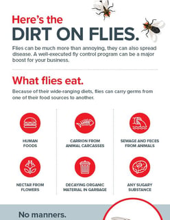 Crop_Fly Infographic-Ehrlich