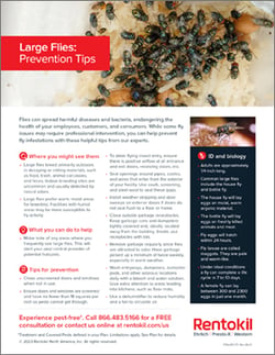 RTK-LargeFlies-TipSheet